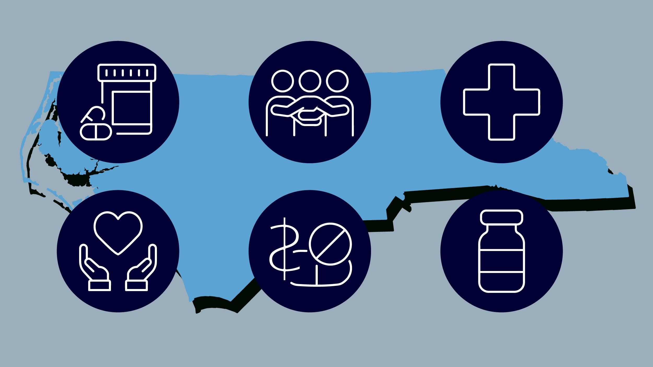 带有灰色背景的图形, 用卡罗莱纳蓝表示的北卡罗来纳州的轮廓, 以及六个海军蓝的图示图标，代表相应的项目. 的图标, 三个人一排两排, are listed as follows: A hospital cross symbol; three people locked in arms; a pill bottle and two pills; a vial; a crossed-out symbol atop a pill with a dollar sign next to it; and a hand lifting up a heart with text.